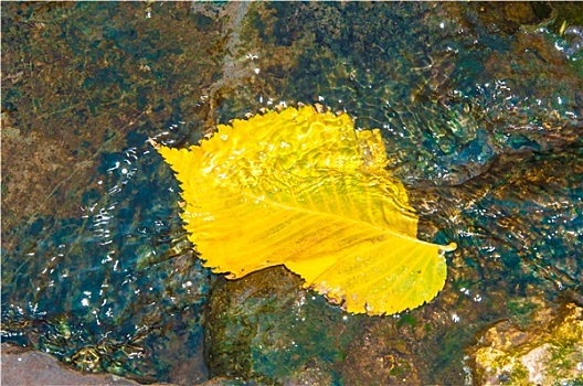 cách bắt lô đề miền nam