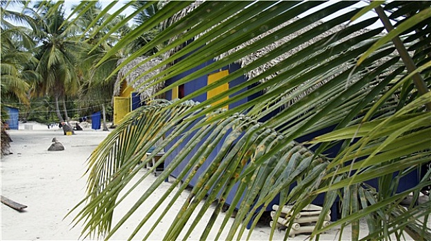 soi cầu 7777