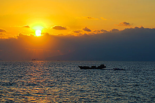 soi cầu bạch kim