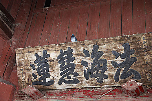 soi cau 6666 hom nay