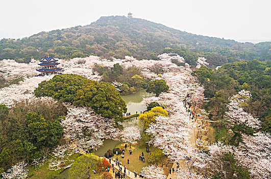 bach thu khung 3 ngay chinh xac