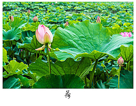 thông kê giải đặc biệt