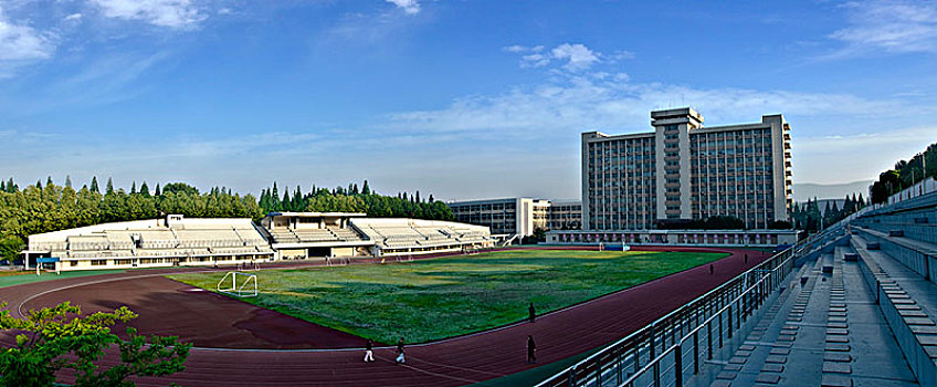 xs binh dinh hom nay
