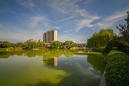 soi cau mien bắc