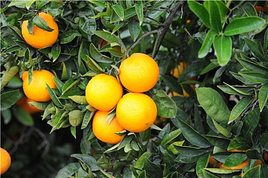 soi cầu 89
