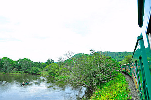 soi câu 88
