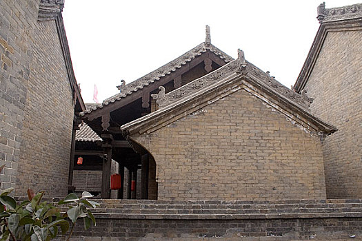 bạch thủ lô hôm nay là con gì