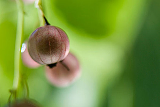kết quả xổ số một tháng