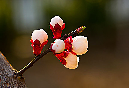 xổ số miền nam thứ 6