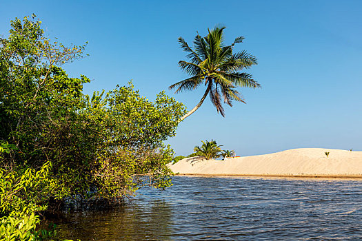 3 càng miền bắc