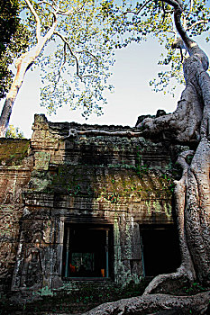 số khánh hòa