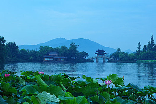dự đoán xổ số tiền giang