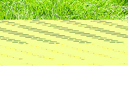 dàn đề bất tử