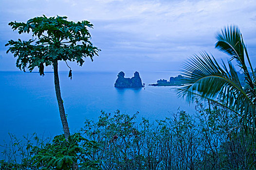 cau soi ba mien
