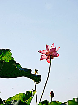 minh ngoc 24 h