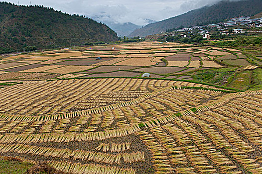 nạp tiền m88