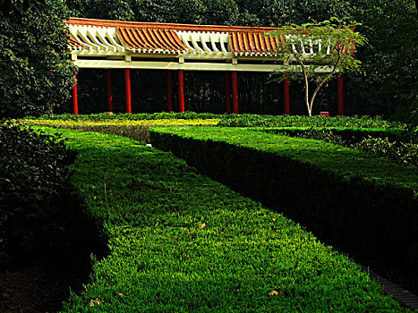 cái số đề