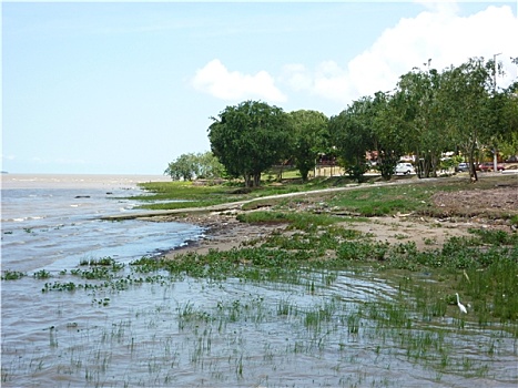 du doan xs gia lai