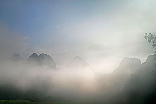 bach thu lo kep mb