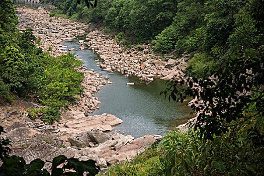 lo rong bạch kim