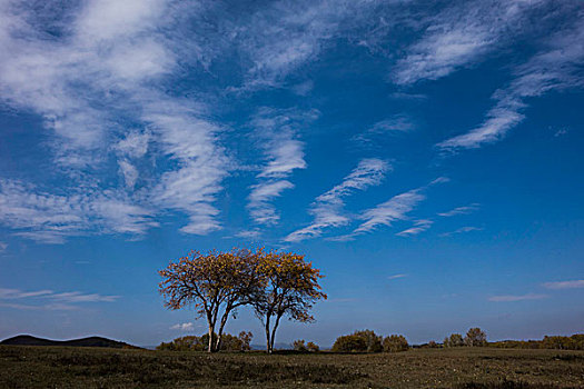 chốt số miễn phí