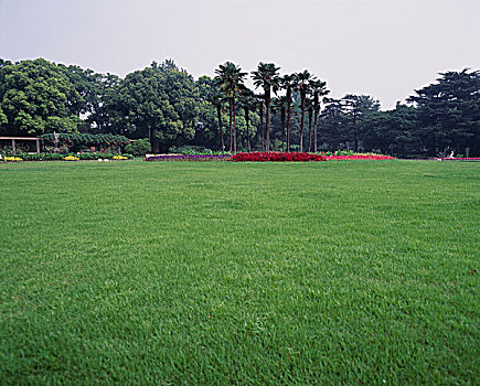 keonhacai truc tiep viet nam