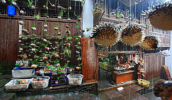 xổ số quảng bình