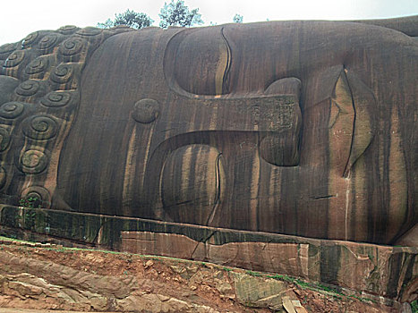 bạch thủ lô hôm nay