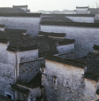 soi cau khung 3 ngay 247