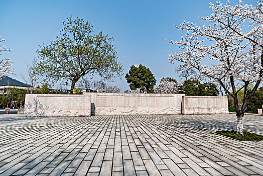 cau rong bạch kim