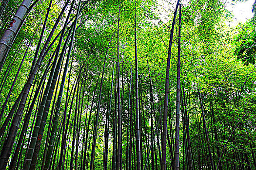 xổ số quảng ninh