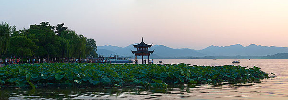 soi cầu