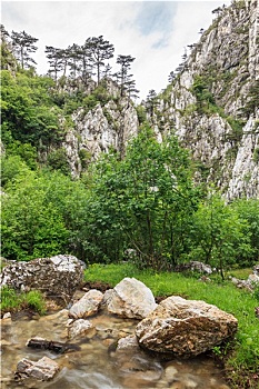 du đoan