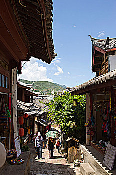 soi câu 247
