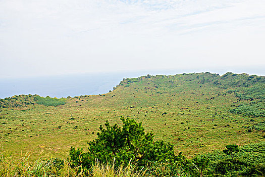 wap du doan