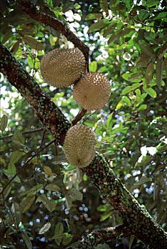 xổ số bạc liêu hôm nay