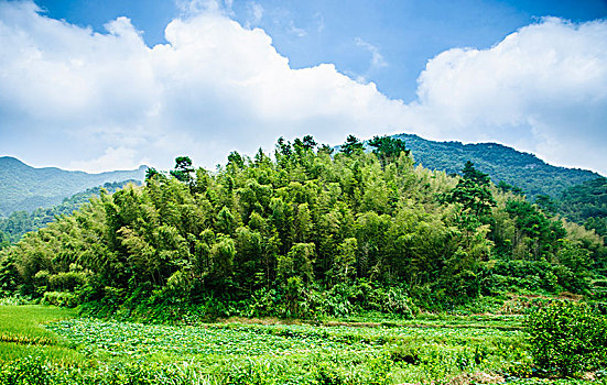 soi cau du doan xs 3 mien