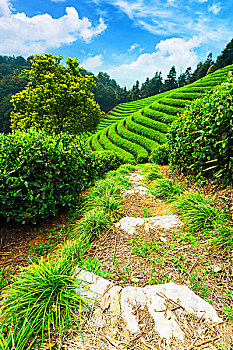 thống kê xổ số kiên giang