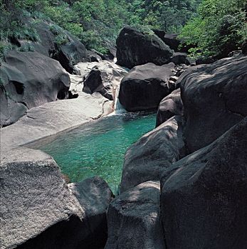lo bach thu khung 3