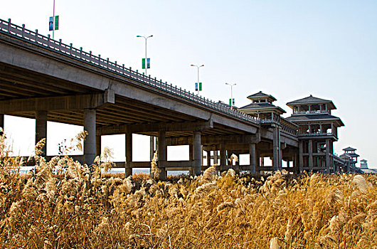 cầu lô đề hôm nay