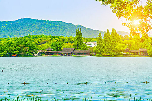 soi cau xo so dong nai