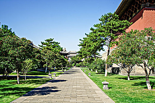 quay thu mn