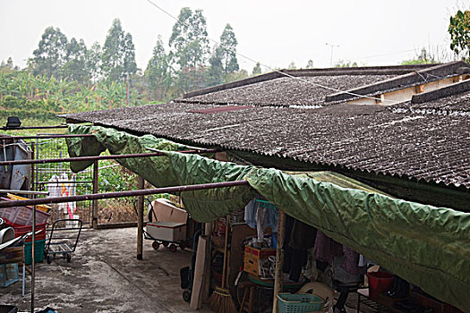 soi cau 30 ngay
