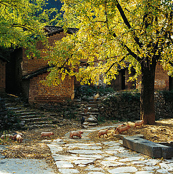 thống kê lô theo ngày