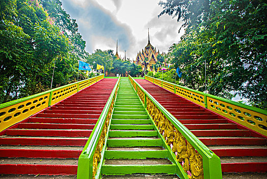 soi cau 8785