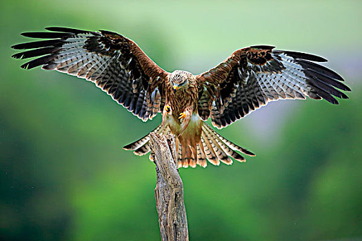 xổ số sông bé