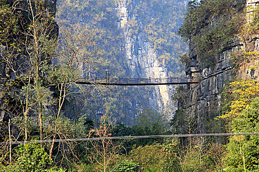 bach thu khung 5 ngay