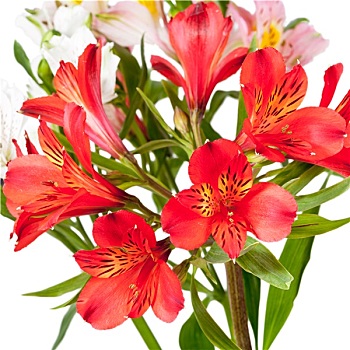 xổ số truyền thống