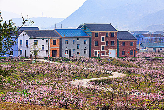 soi cầu miền bắc 3s