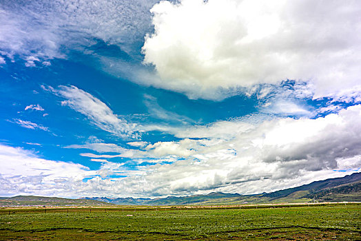 dự đoán